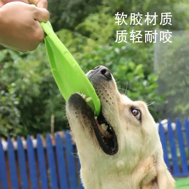 Bite Resistant Flying Disc | Toys For Dog Multifunction|  Pet Puppy Training WagZeal