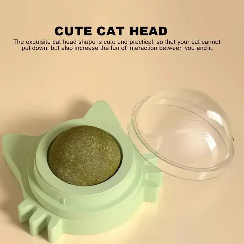 Catnip Balls Lickable for Cat |  Kitten Playing Chewing Cleaning Teeth WagZeal