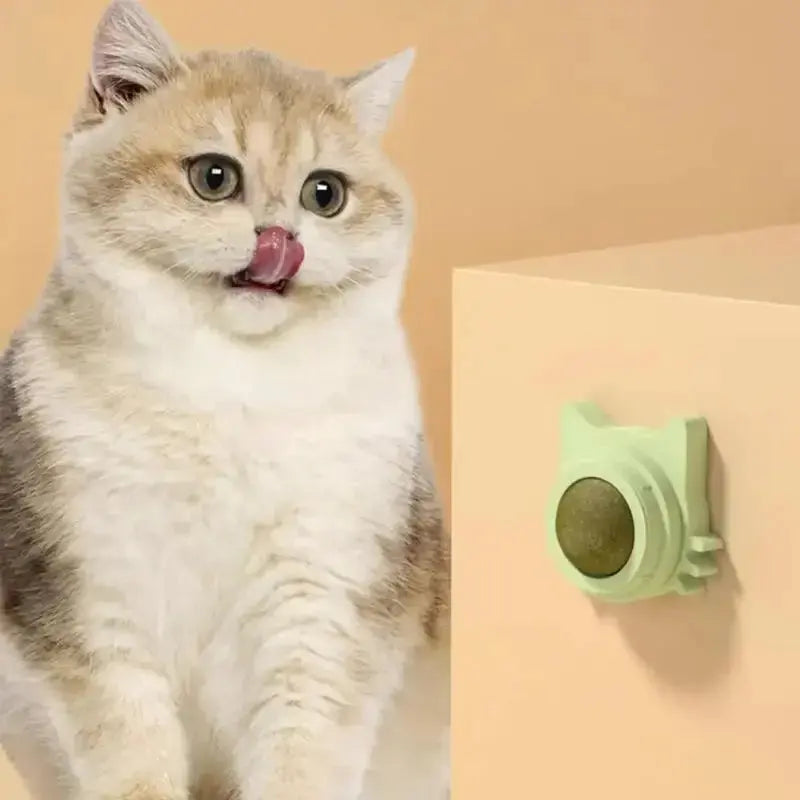 Catnip Balls Lickable for Cat |  Kitten Playing Chewing Cleaning Teeth WagZeal
