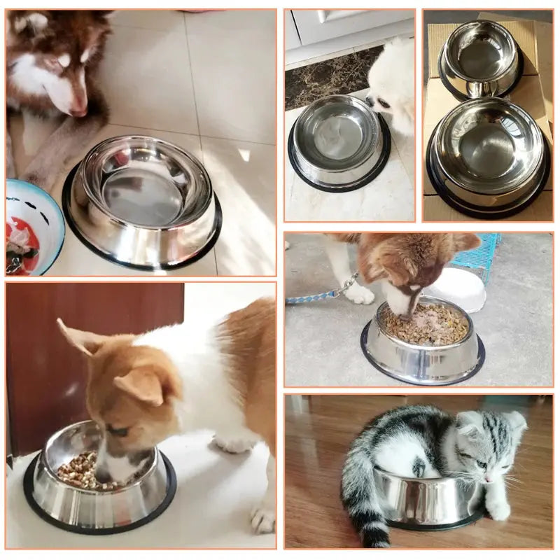 Stainless Steel  Pet  Bowls | Dogs | Cats WagZeal