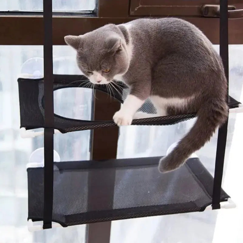 Cat Hammock Window Bed Kitten | Sunny Seat Hanging WagZeal