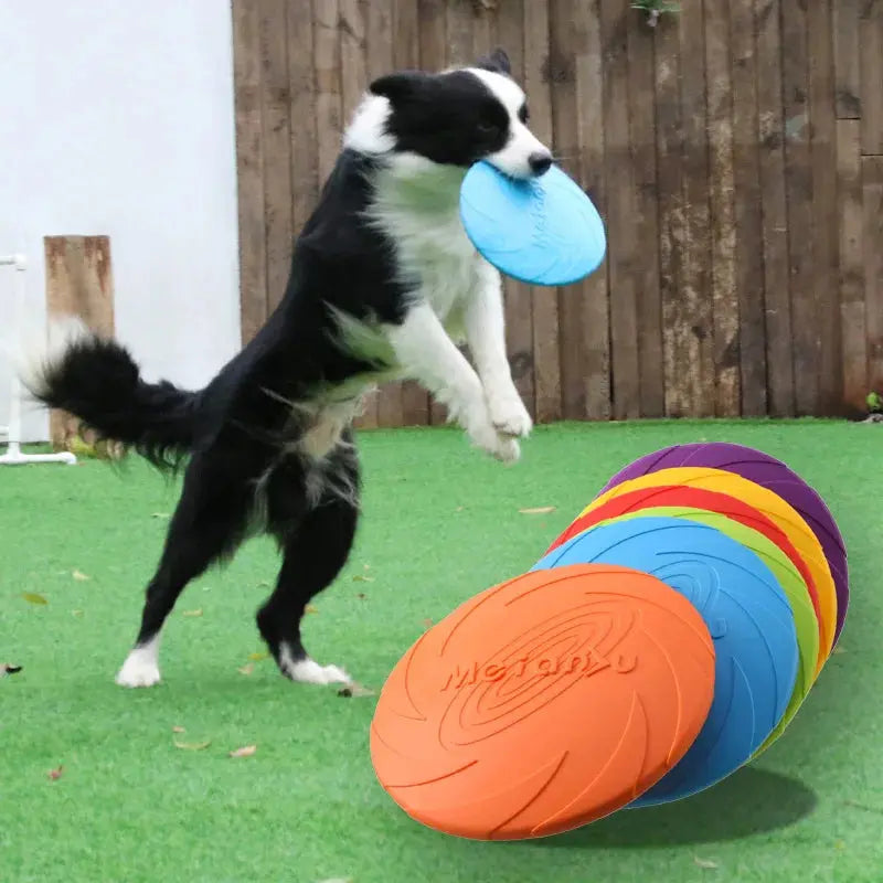 Bite Resistant Flying Disc | Toys For Dog Multifunction|  Pet Puppy Training WagZeal